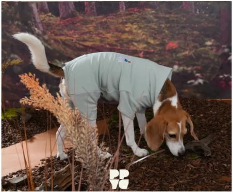 螢幕擷取畫面 2025-10-29 131929