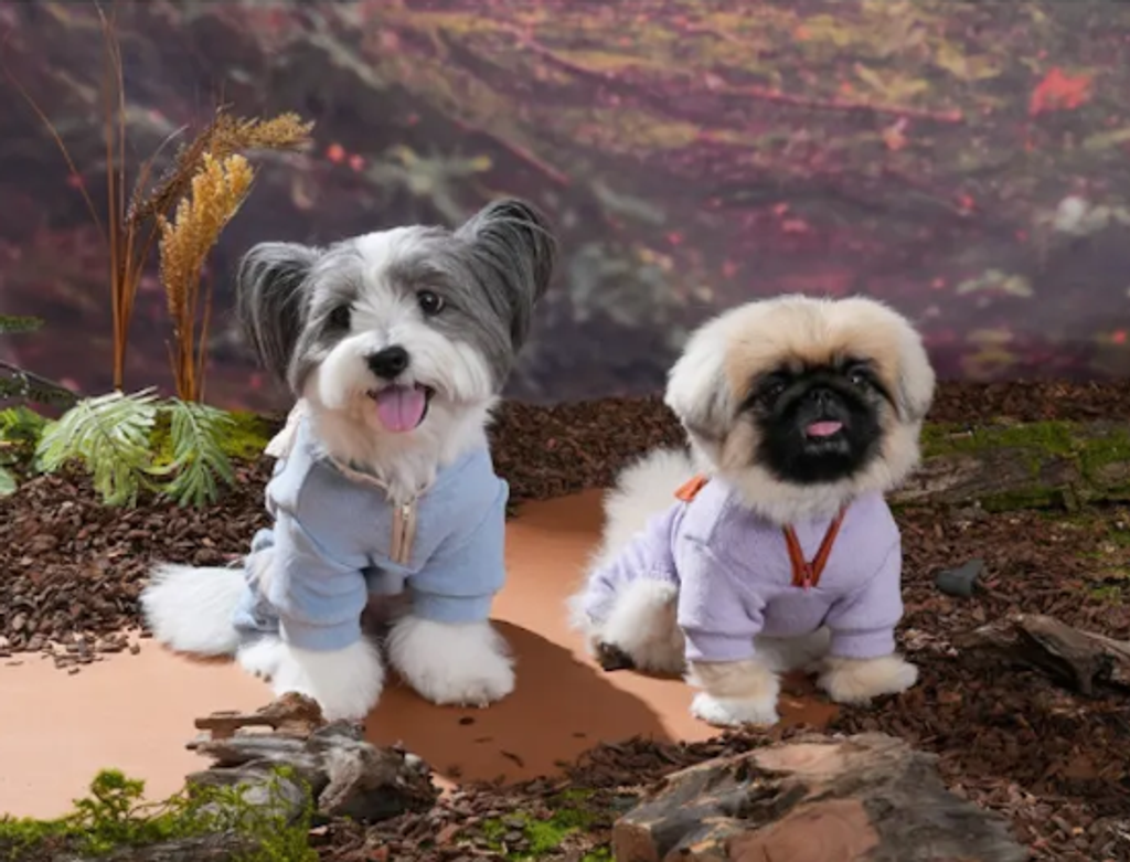 螢幕擷取畫面 2025-10-29 132605