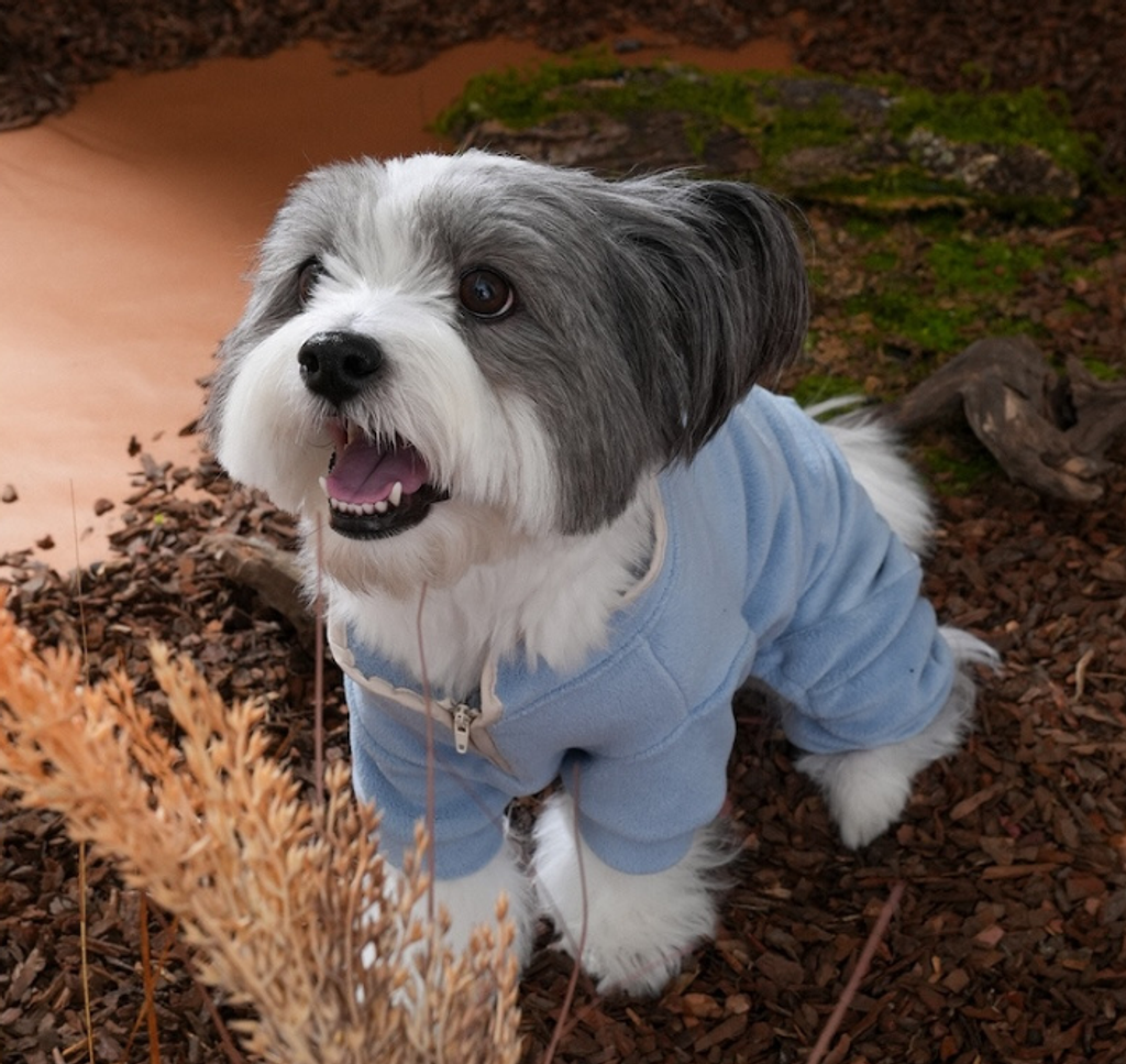 螢幕擷取畫面 2025-10-29 132515