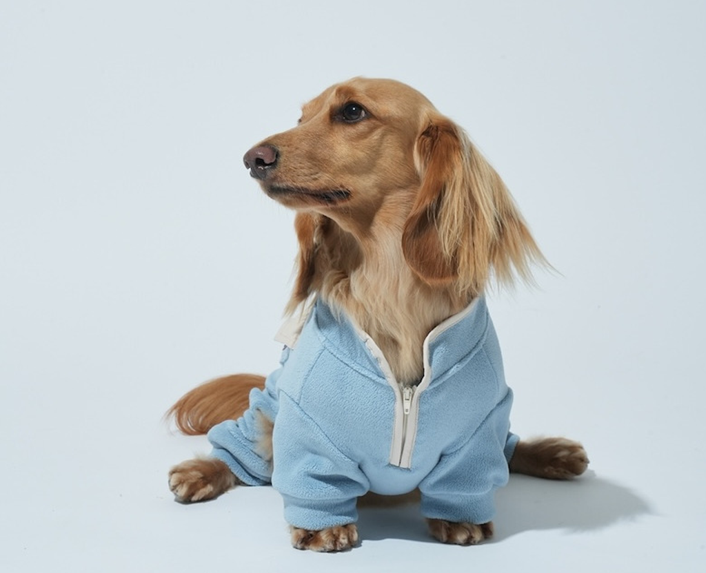 螢幕擷取畫面 2025-10-29 132500