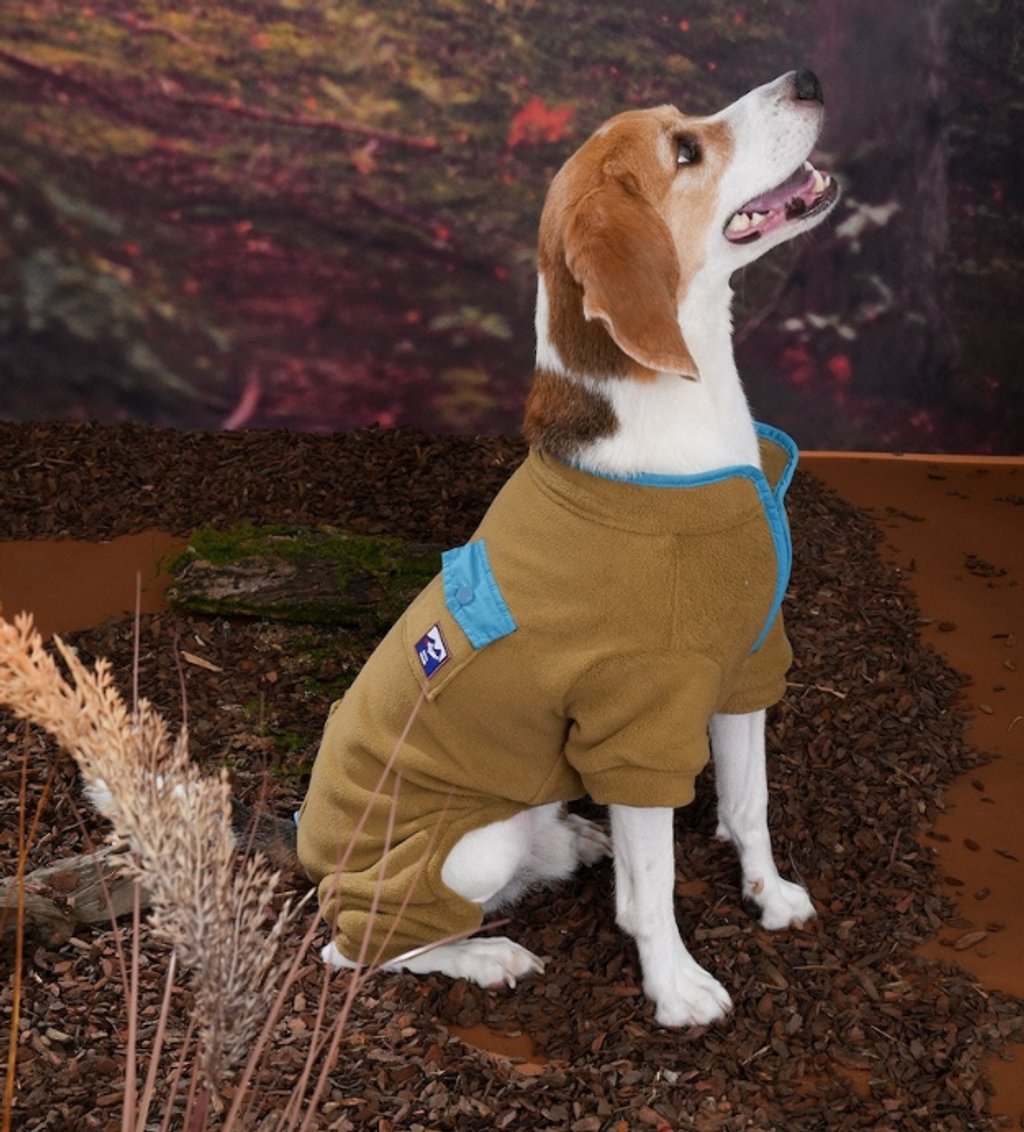 螢幕擷取畫面 2025-10-29 132530