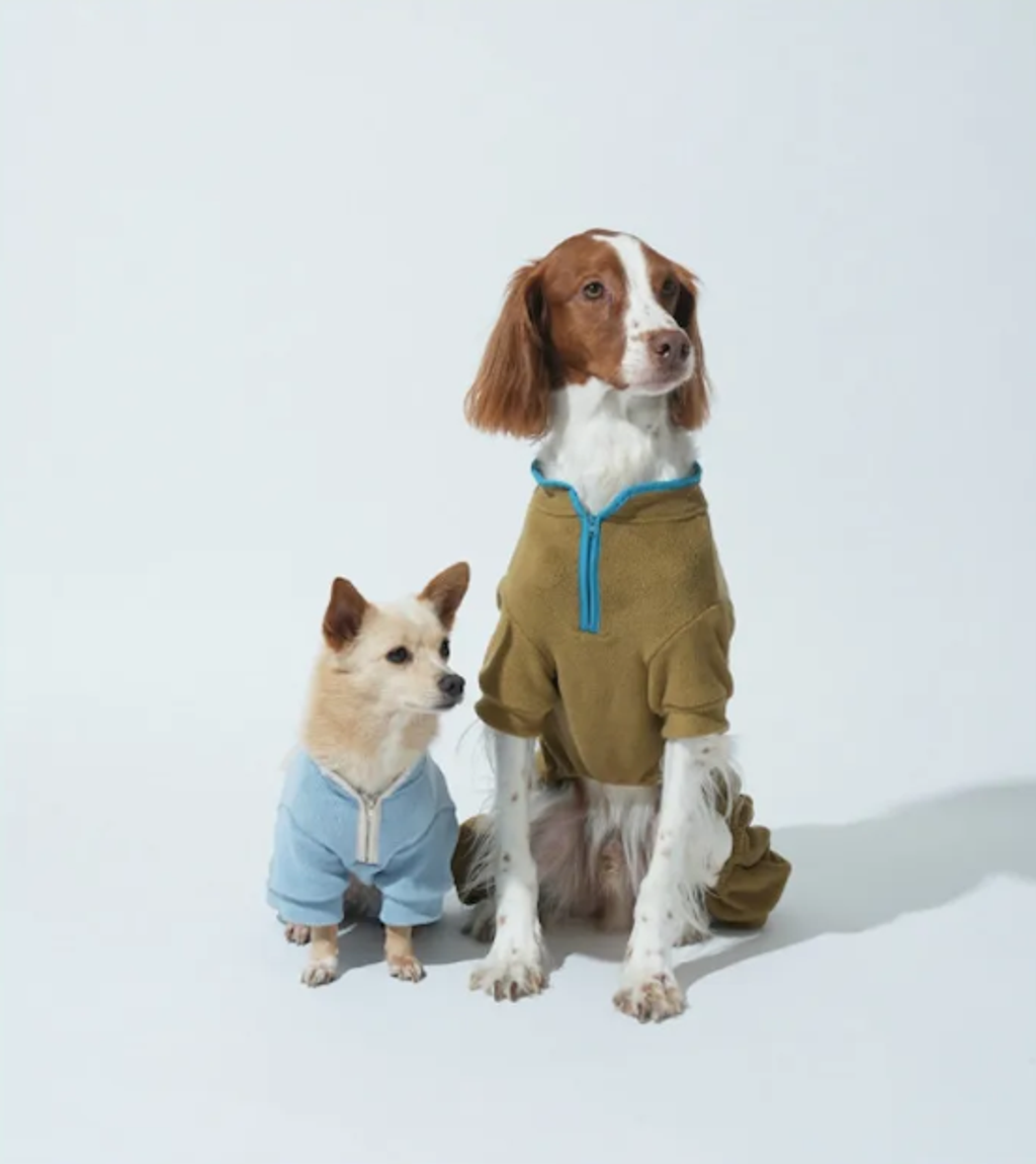 螢幕擷取畫面 2025-10-29 132611