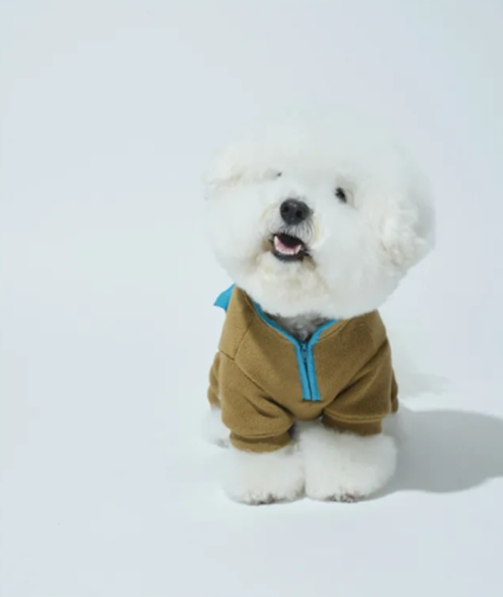 螢幕擷取畫面 2025-10-29 141931