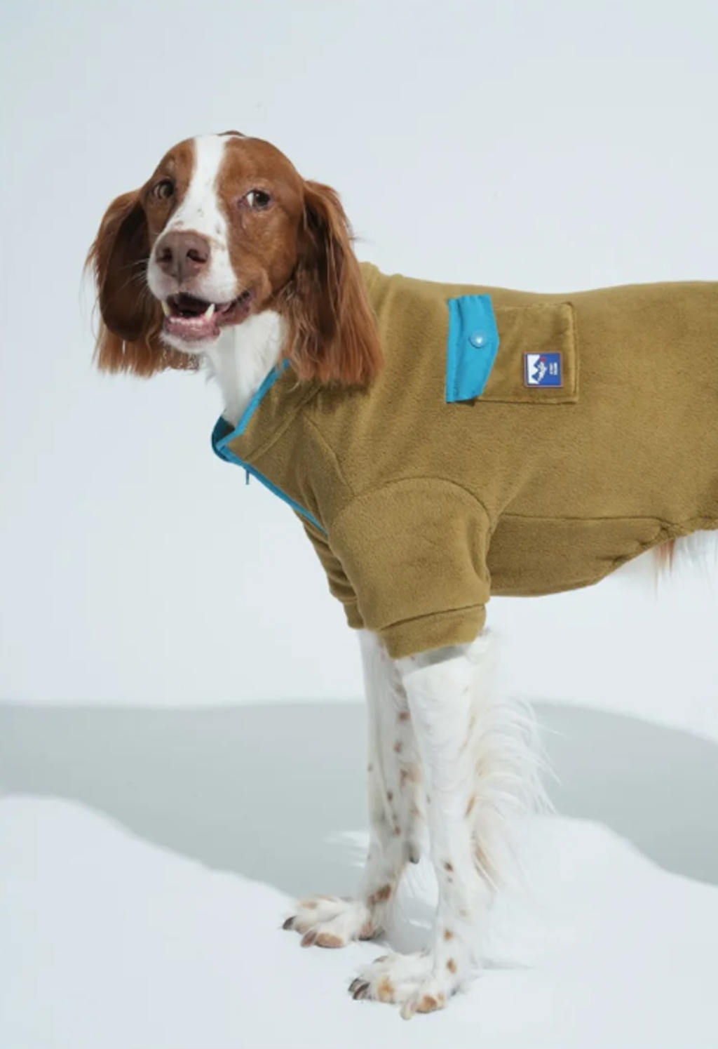 螢幕擷取畫面 2025-10-29 141914