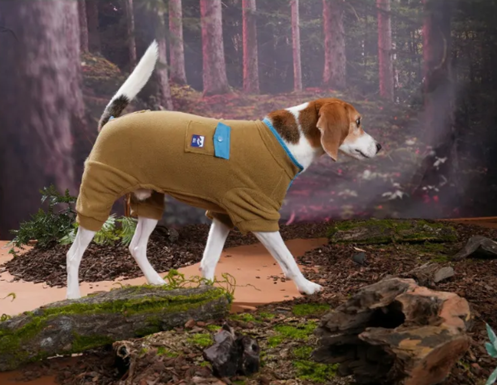 螢幕擷取畫面 2025-10-29 141857