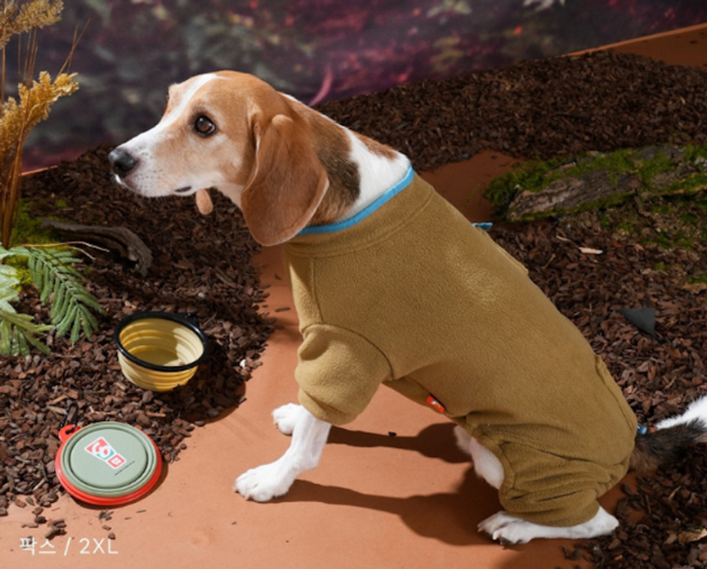 螢幕擷取畫面 2025-10-29 141835