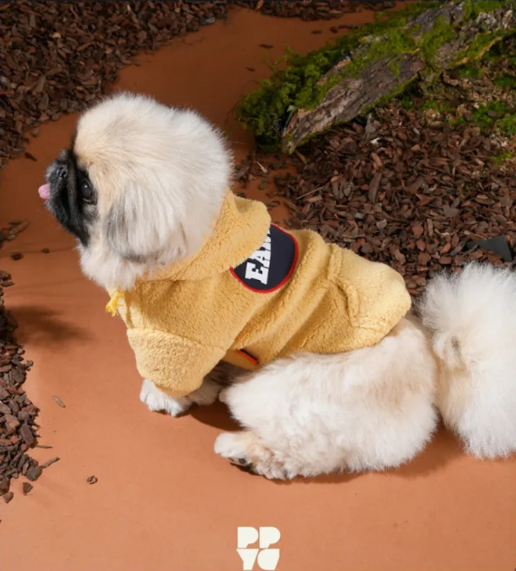 螢幕擷取畫面 2025-10-29 145302