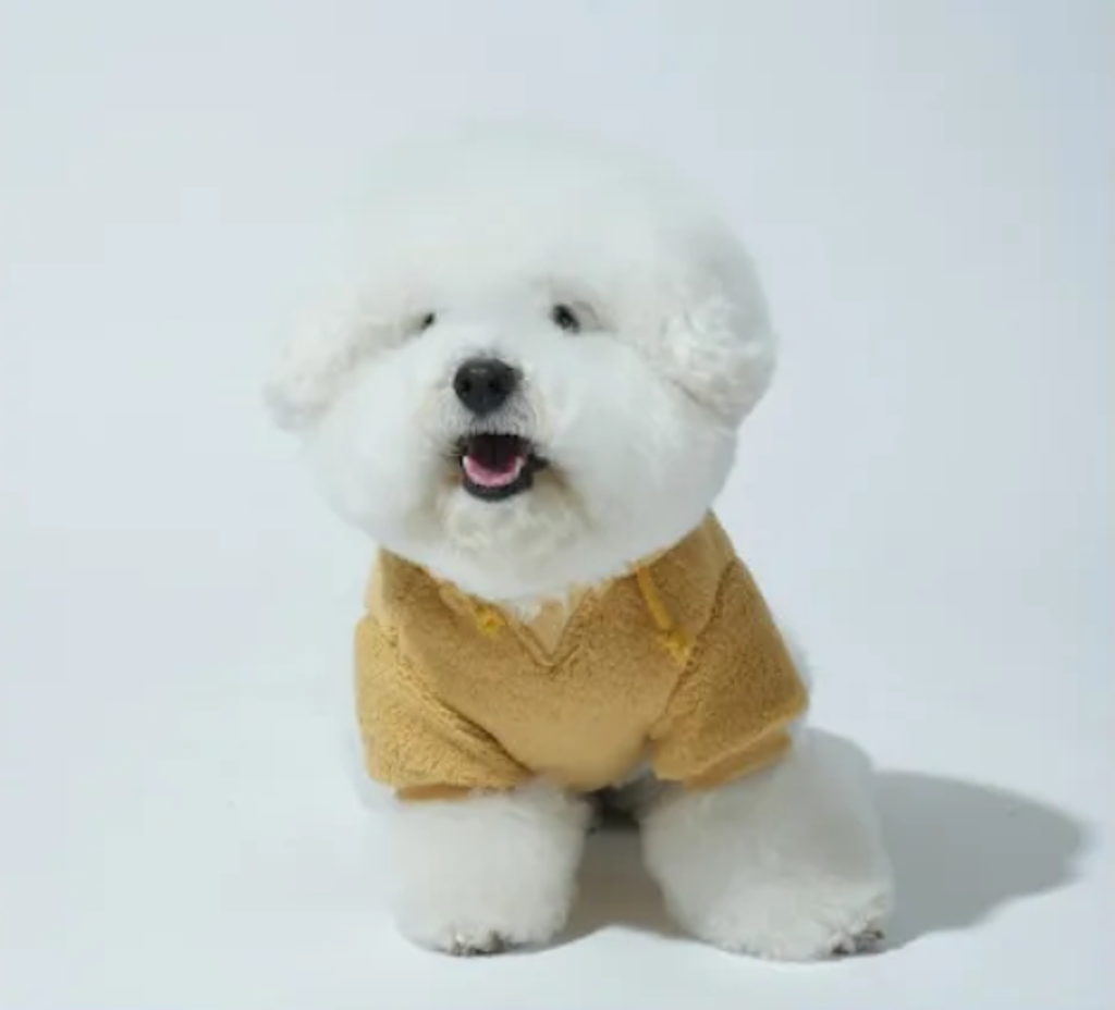 螢幕擷取畫面 2025-10-29 151403