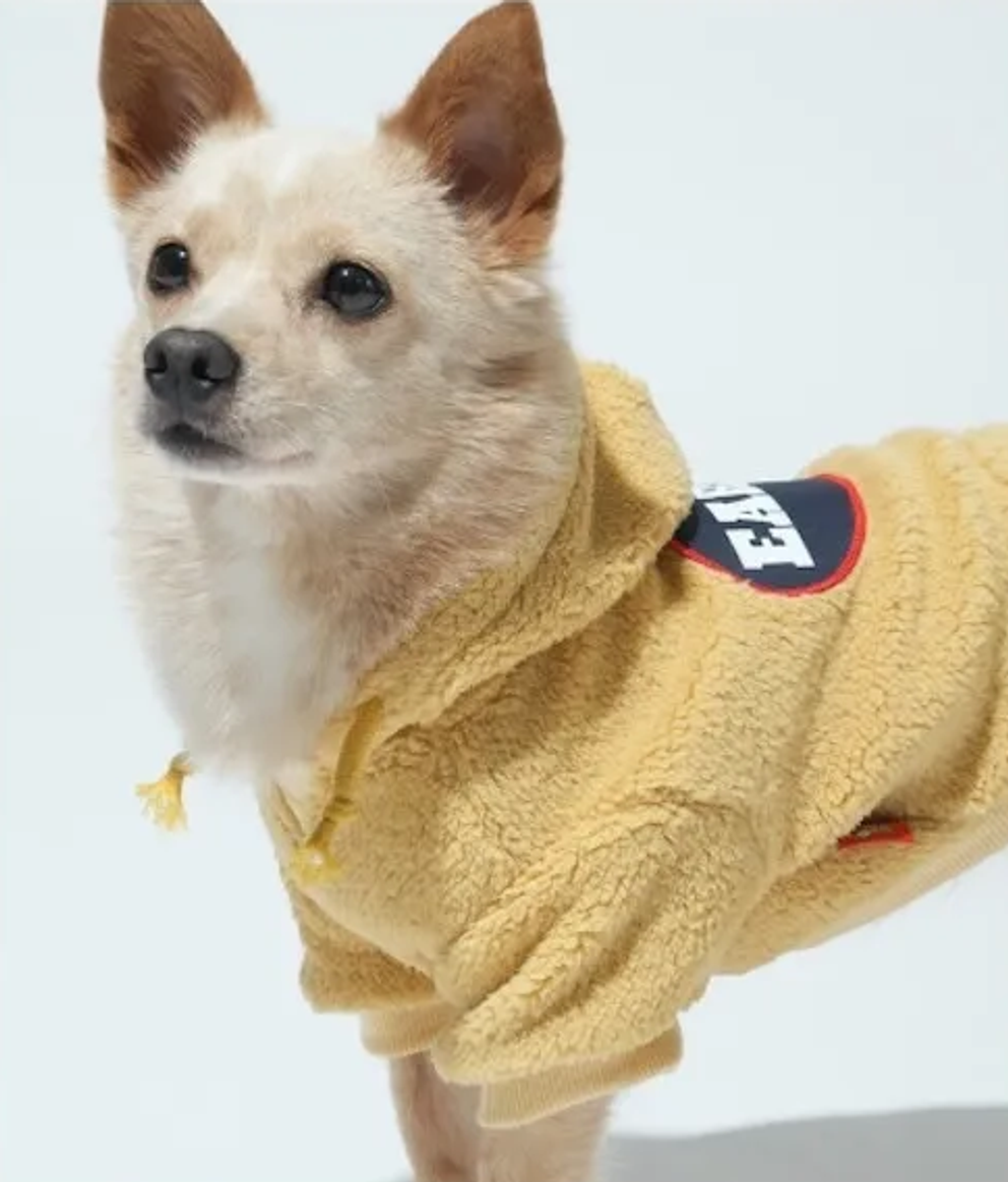 螢幕擷取畫面 2025-10-29 151448