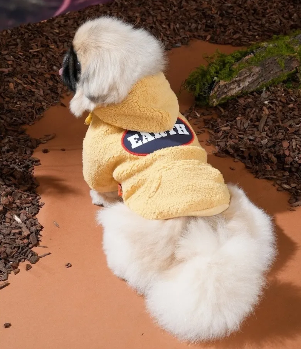 螢幕擷取畫面 2025-10-29 151431