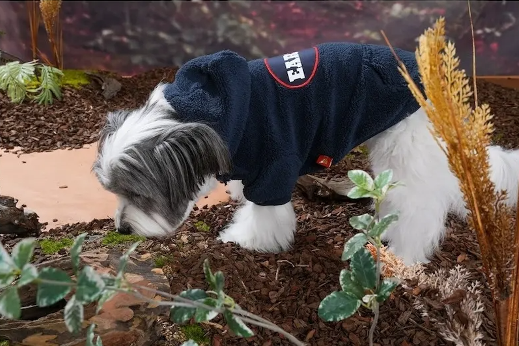 螢幕擷取畫面 2025-10-29 144611