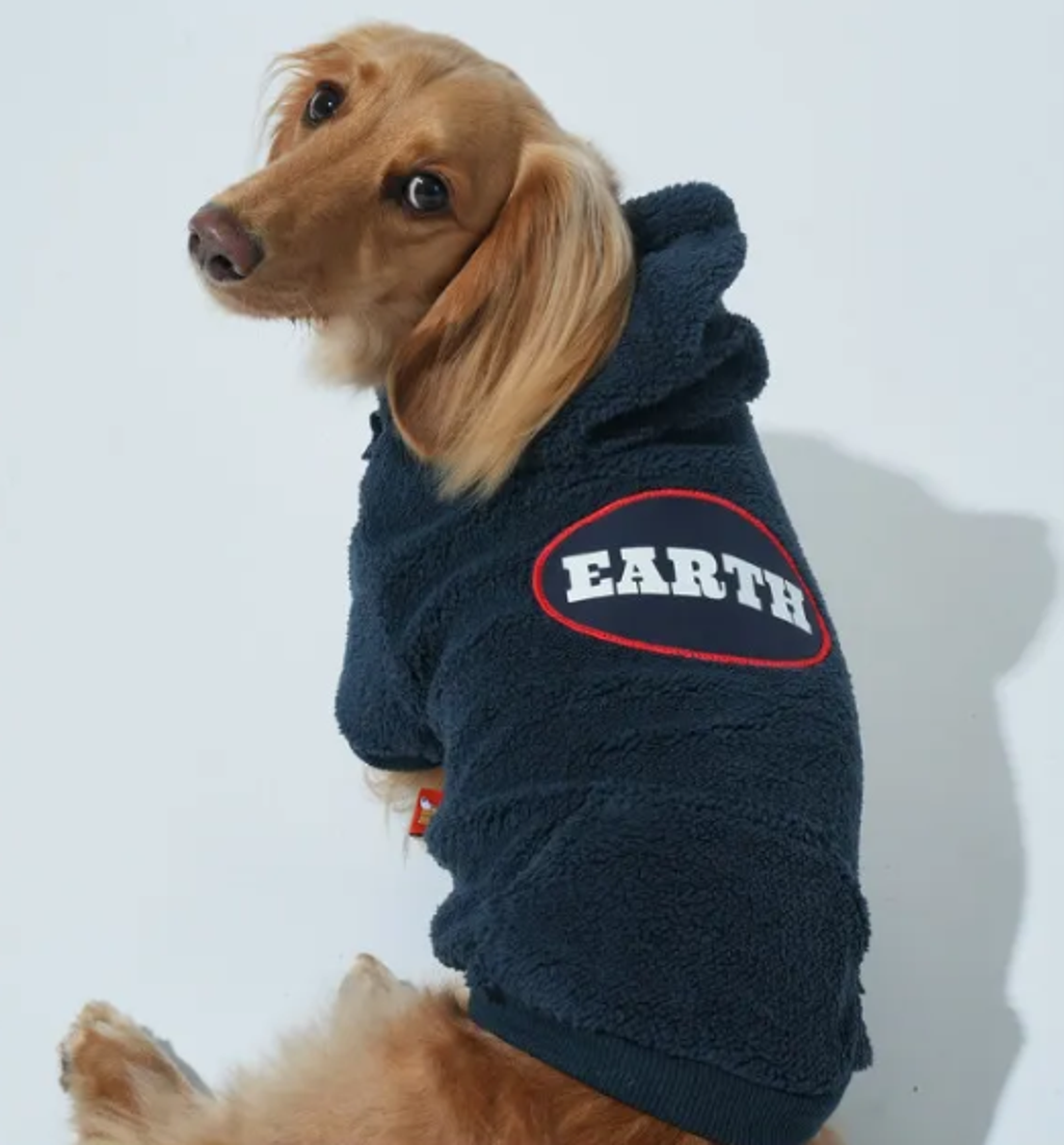 螢幕擷取畫面 2025-10-29 144725