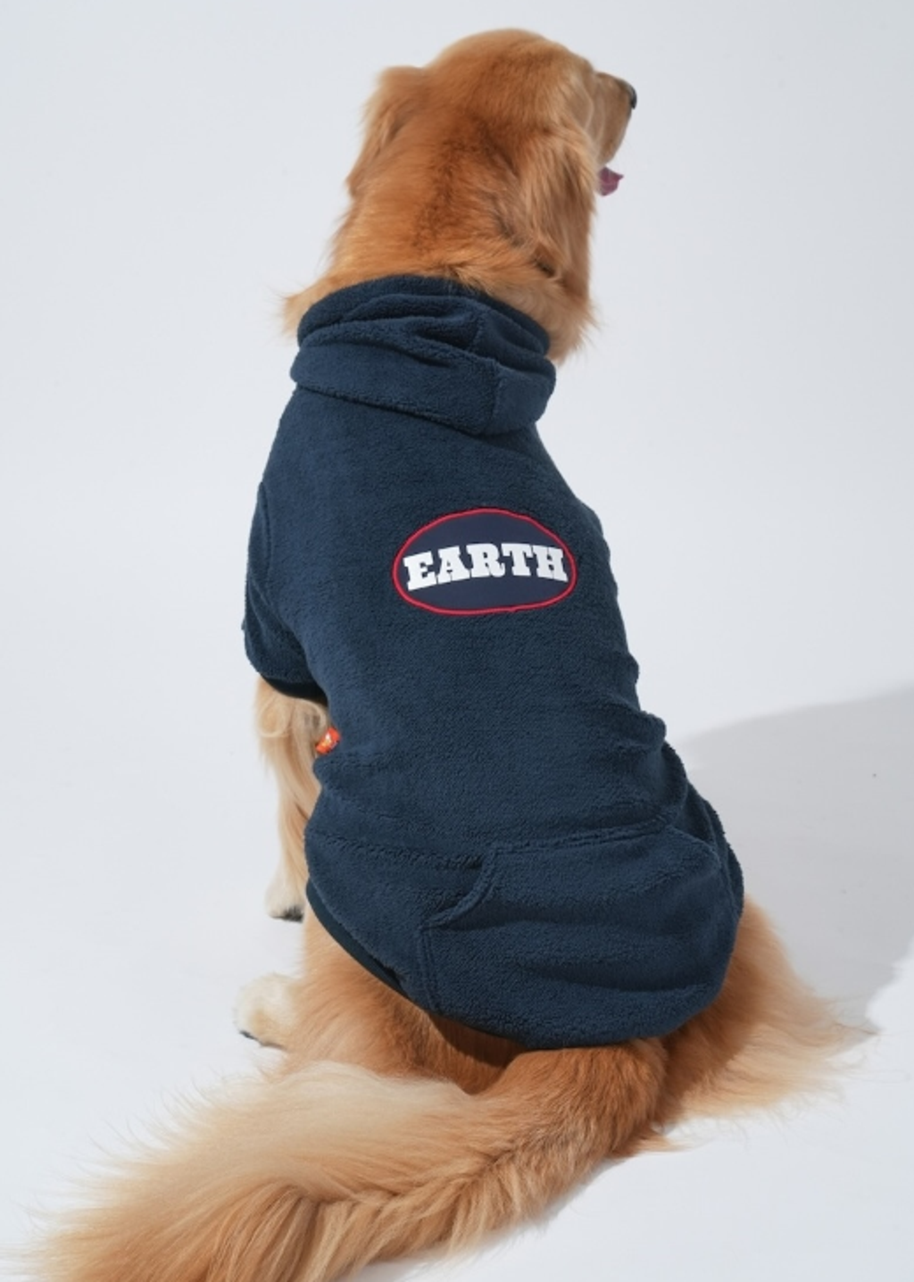 螢幕擷取畫面 2025-10-31 155917