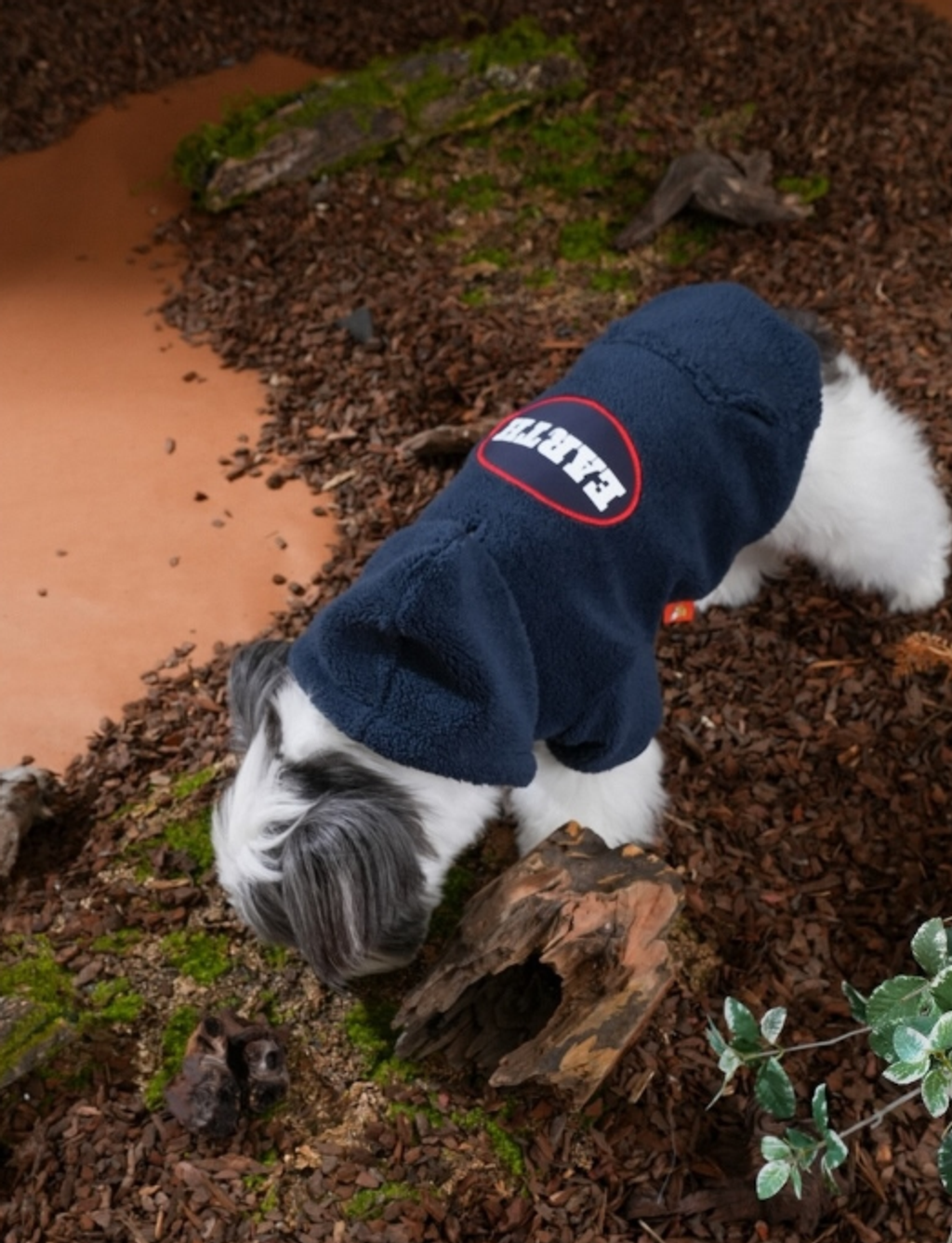 螢幕擷取畫面 2025-10-31 155943