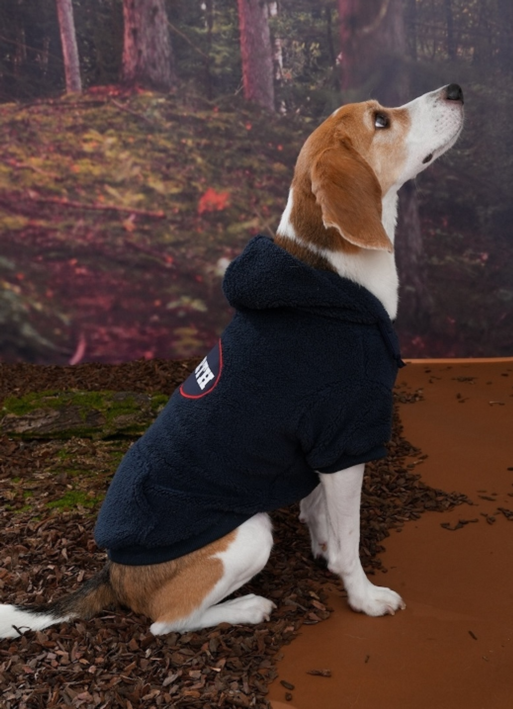 螢幕擷取畫面 2025-10-31 160003