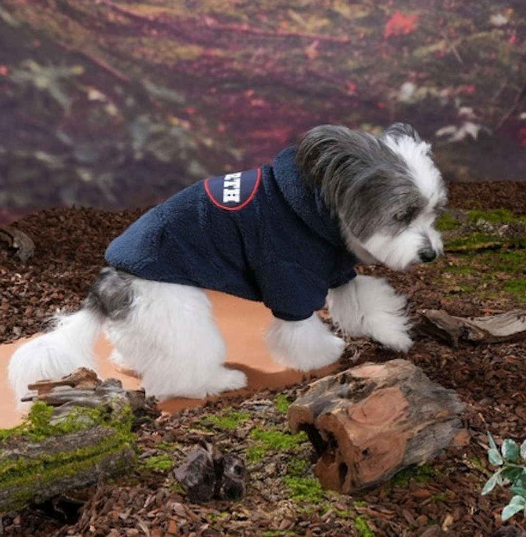 螢幕擷取畫面 2025-10-31 160026