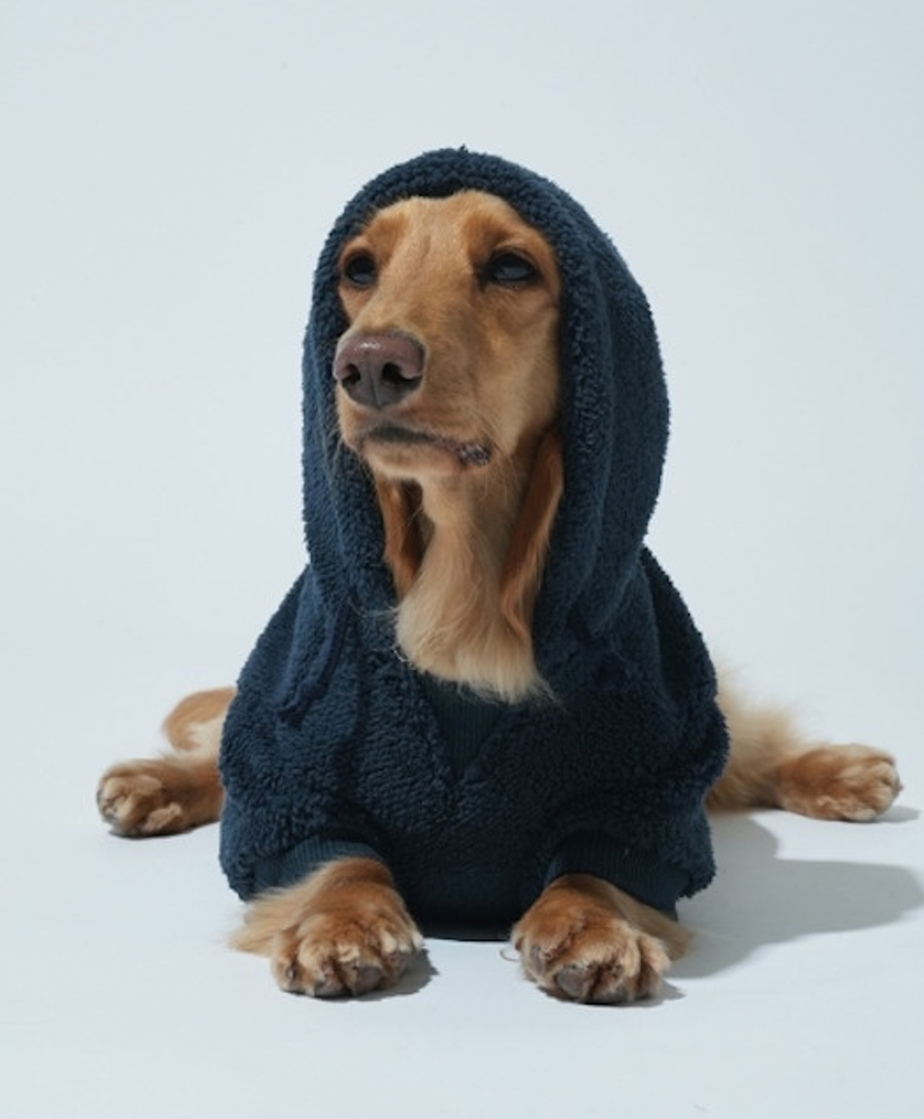 螢幕擷取畫面 2025-10-31 160042