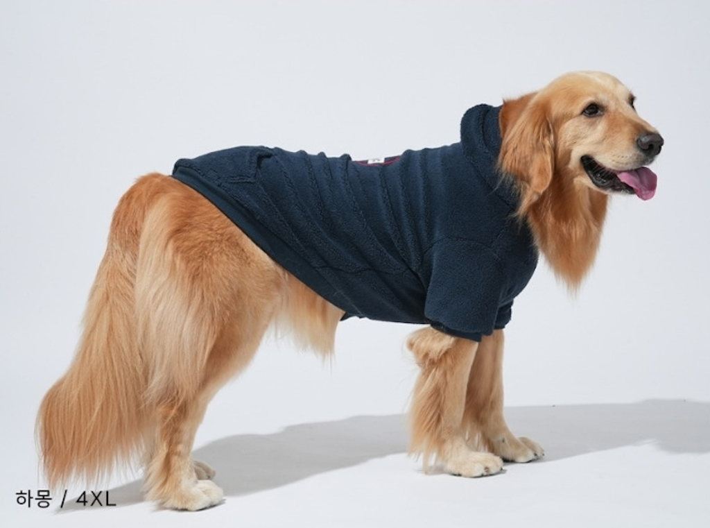 螢幕擷取畫面 2025-10-31 160103