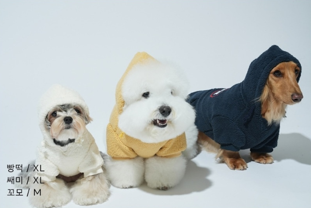 螢幕擷取畫面 2025-10-31 160125