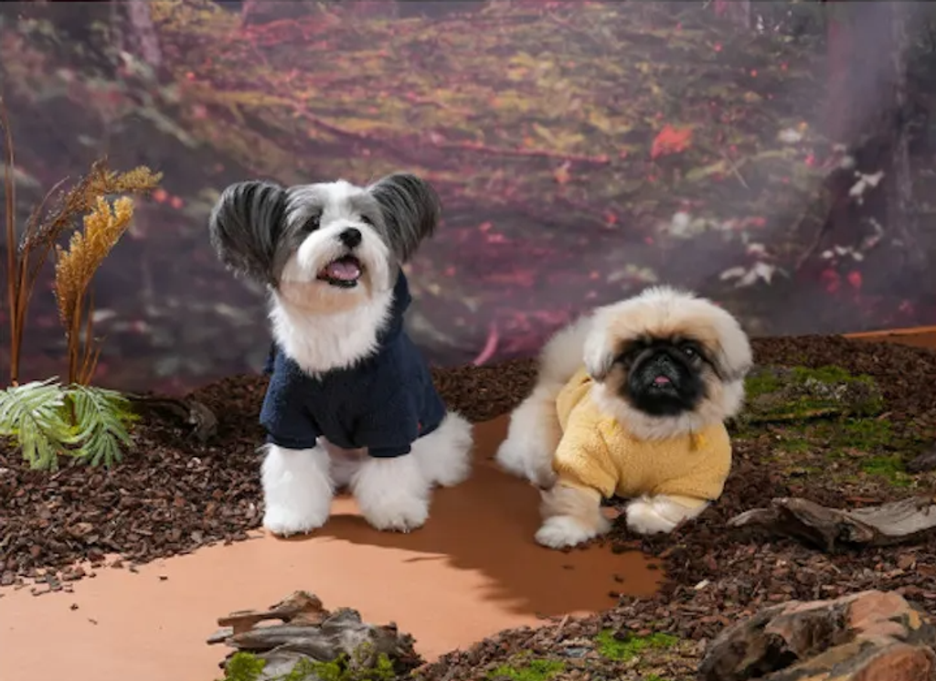 螢幕擷取畫面 2025-10-31 160348