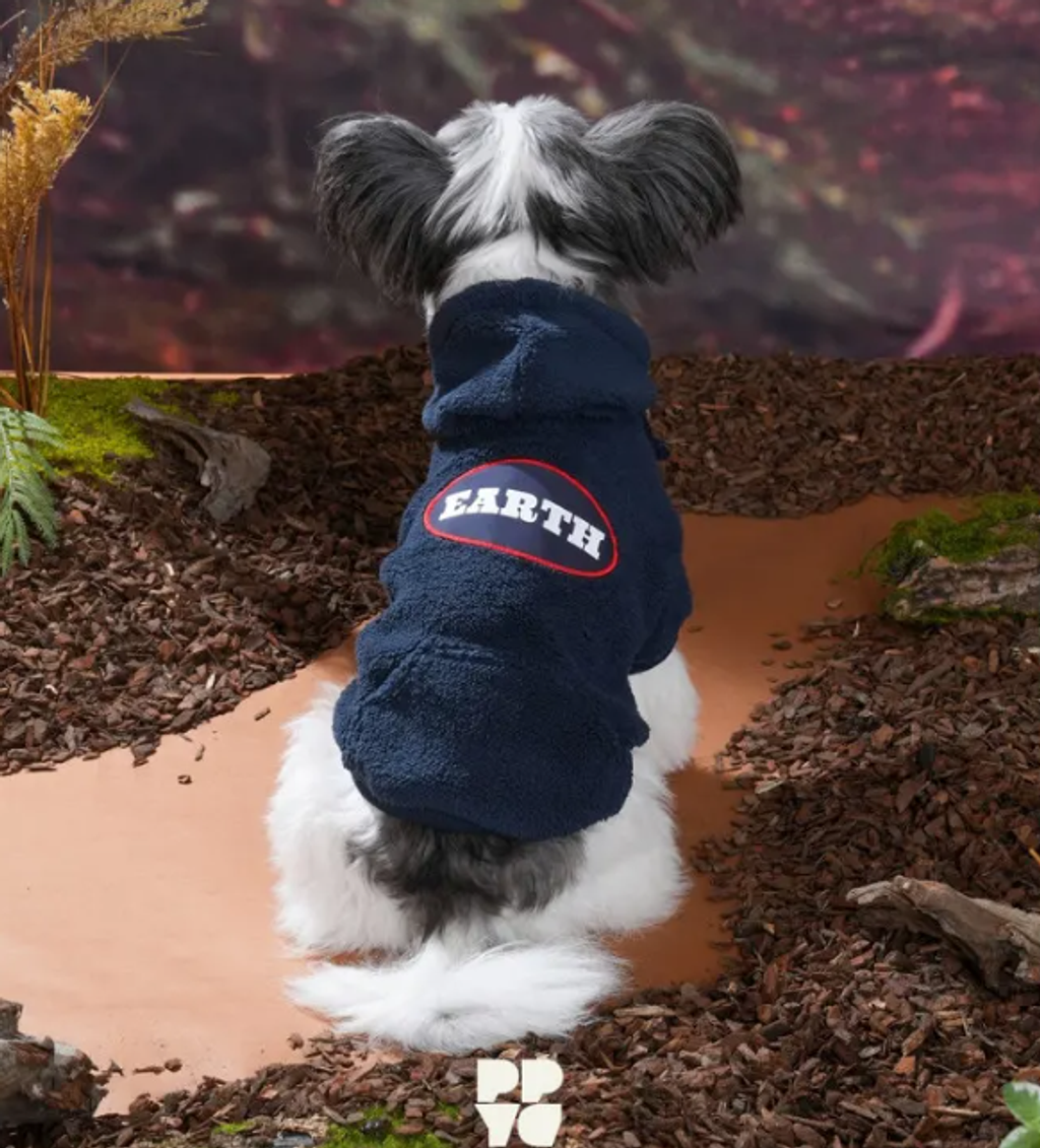 螢幕擷取畫面 2025-10-31 160738