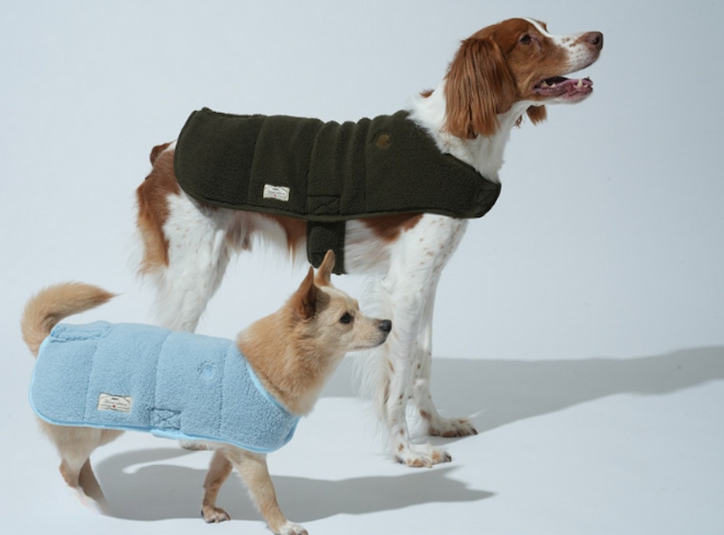 螢幕擷取畫面 2025-11-04 152156