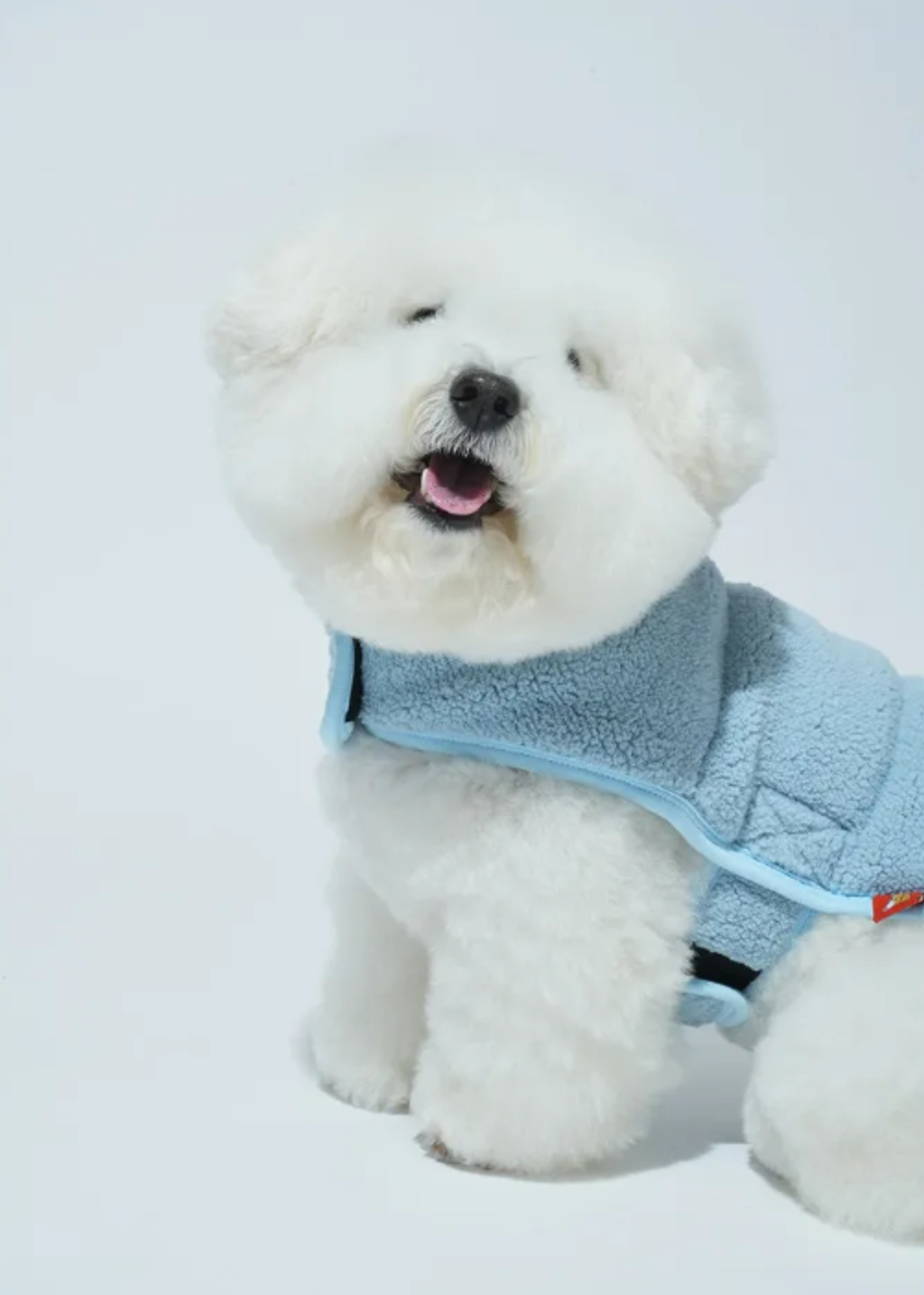 螢幕擷取畫面 2025-11-04 152128