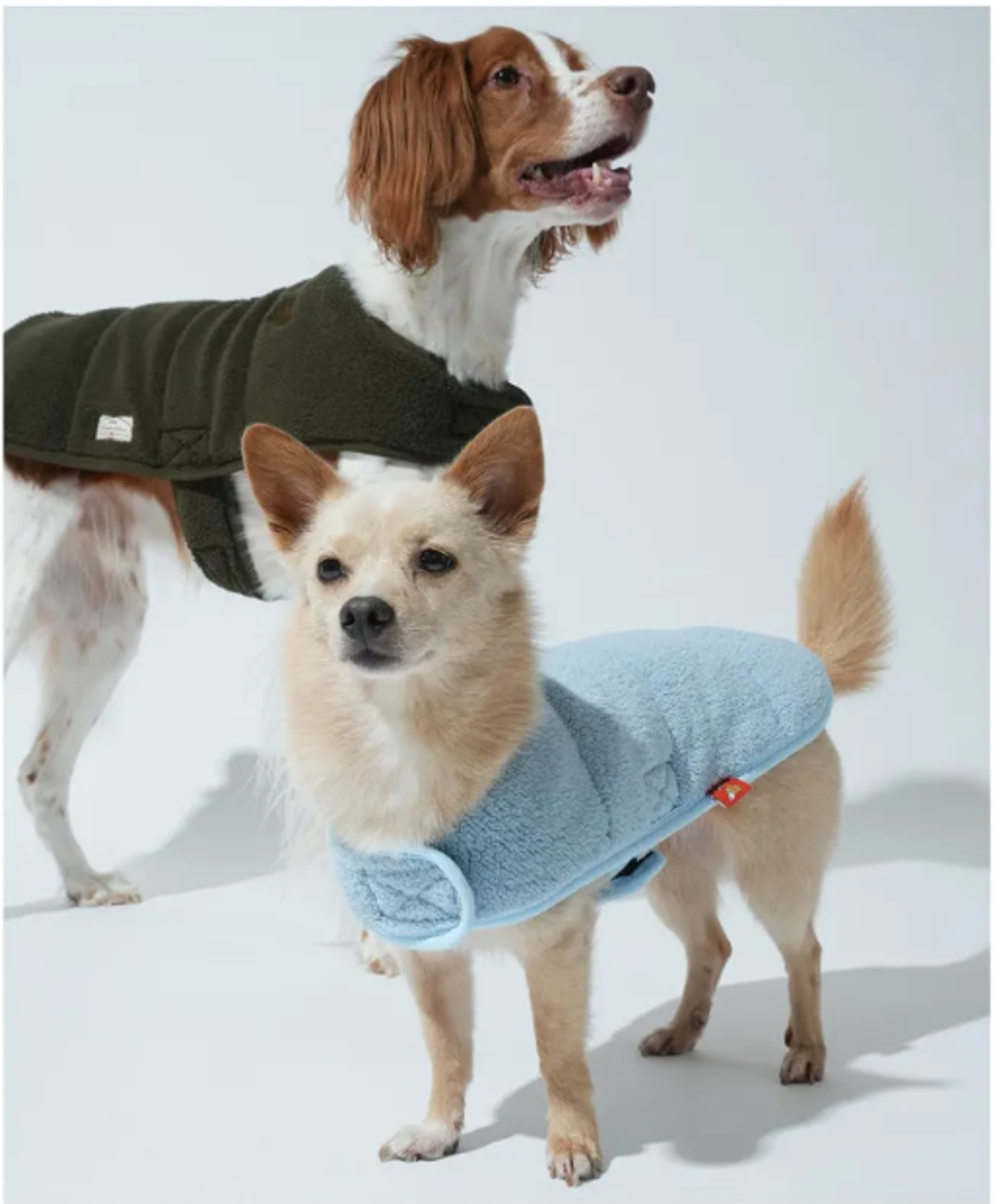 螢幕擷取畫面 2025-11-04 152117