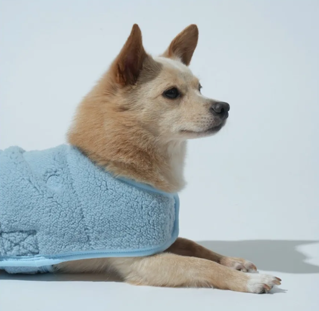 螢幕擷取畫面 2025-11-04 152034