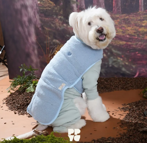 螢幕擷取畫面 2025-11-04 152012