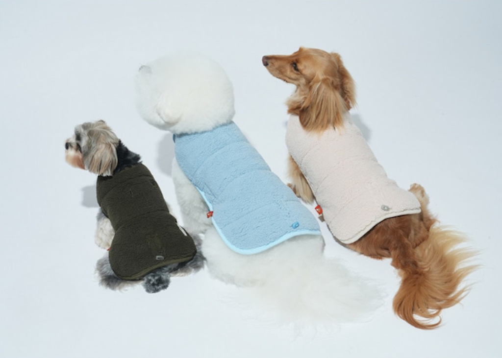 螢幕擷取畫面 2025-11-04 152144