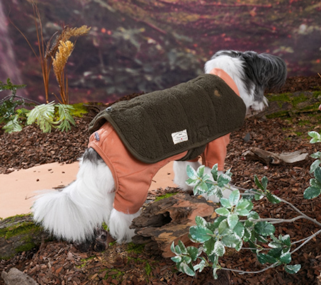 螢幕擷取畫面 2025-11-04 153330