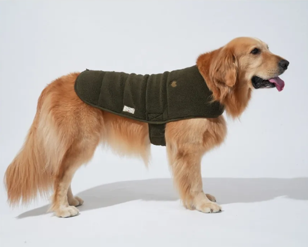 螢幕擷取畫面 2025-11-04 153305