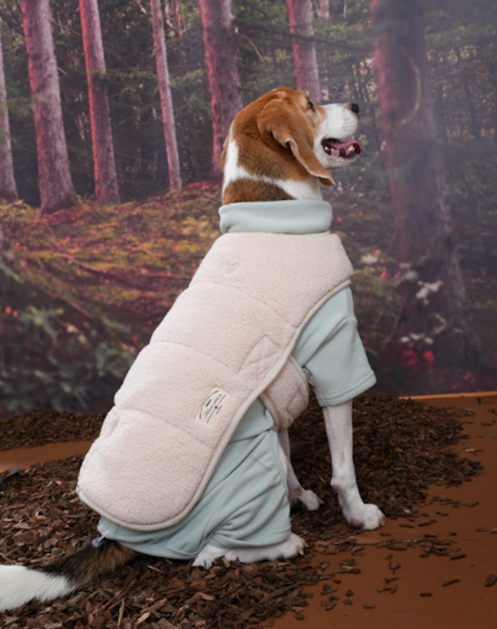 螢幕擷取畫面 2025-11-04 153341