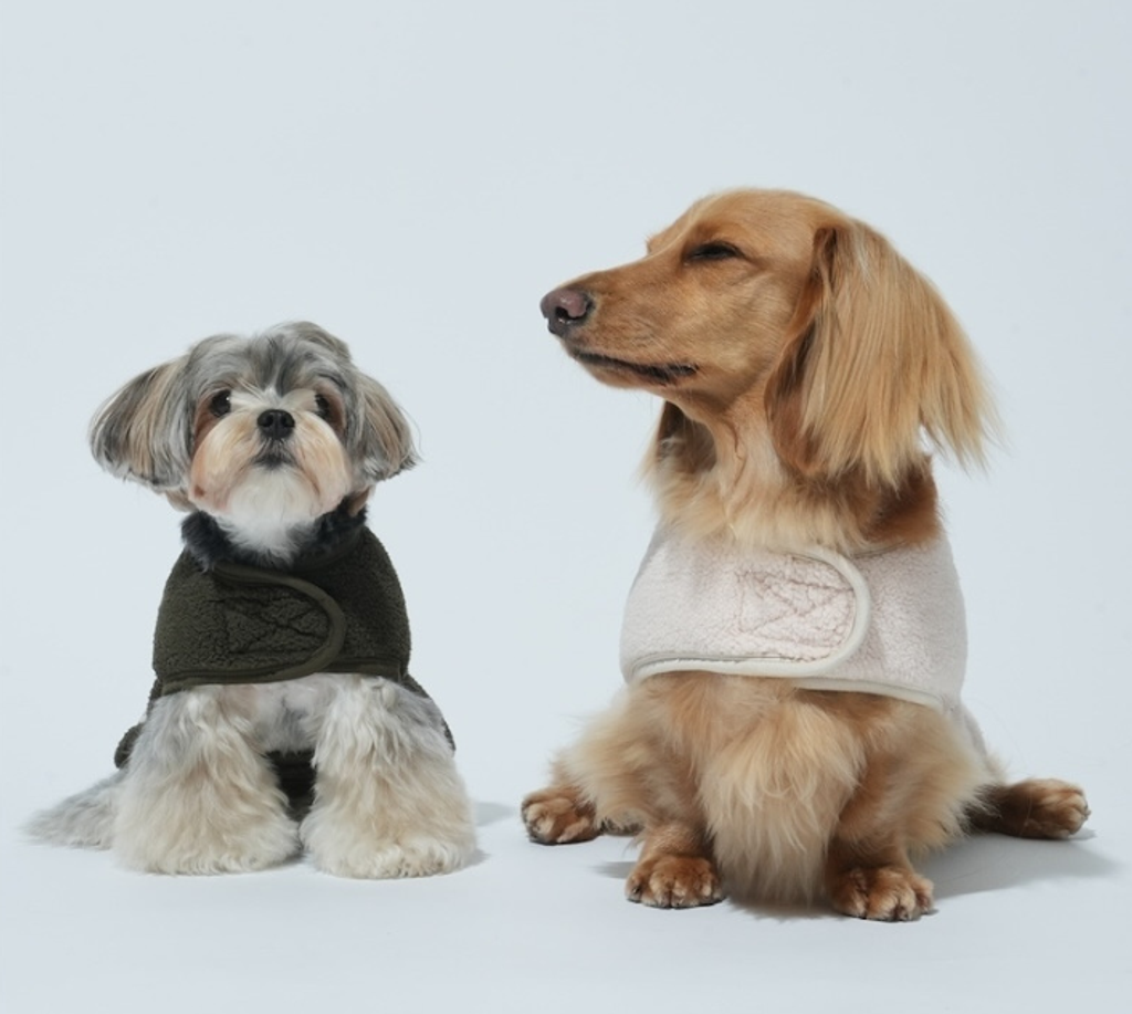 螢幕擷取畫面 2025-11-04 152236