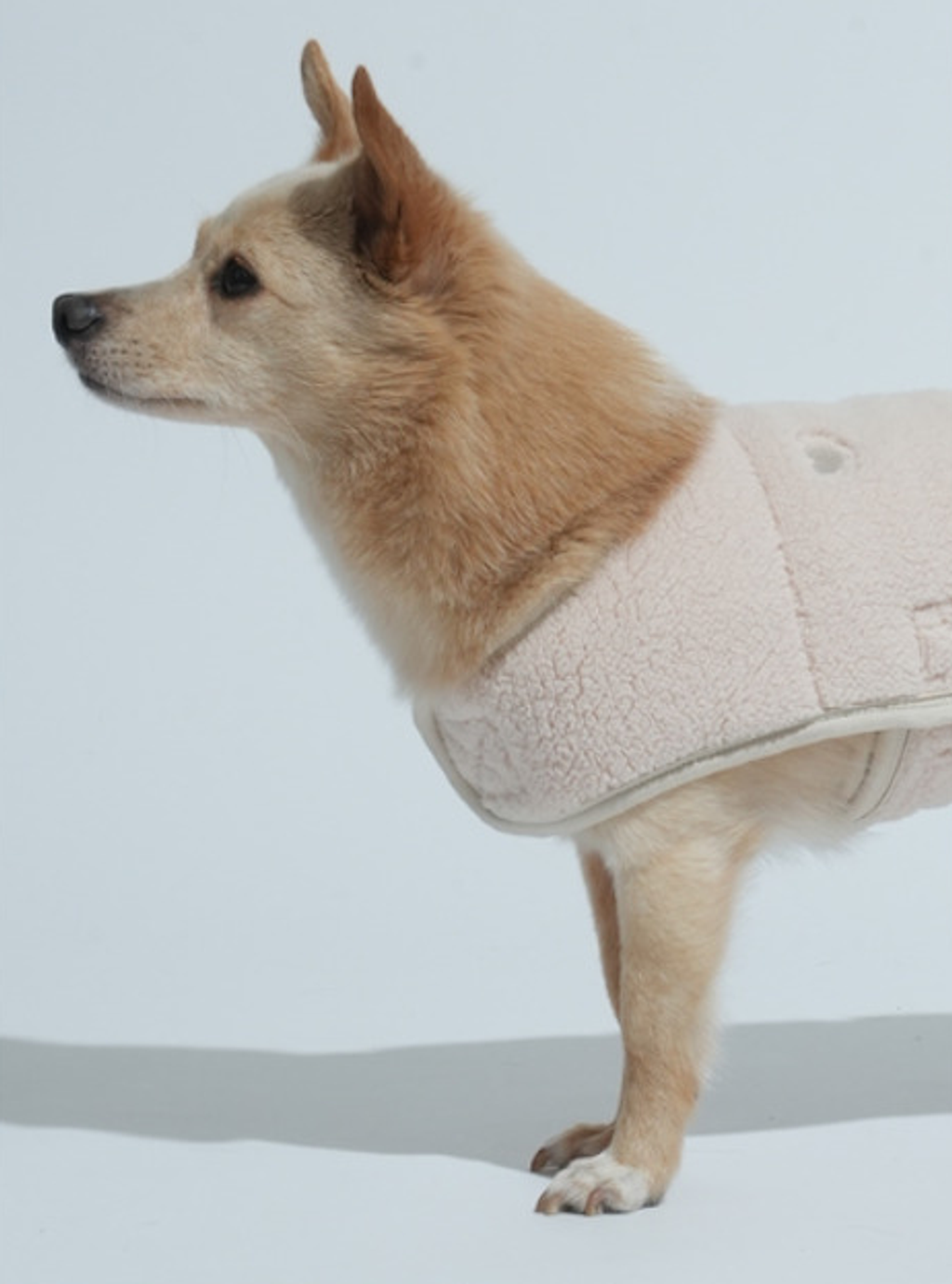 螢幕擷取畫面 2025-11-04 154030