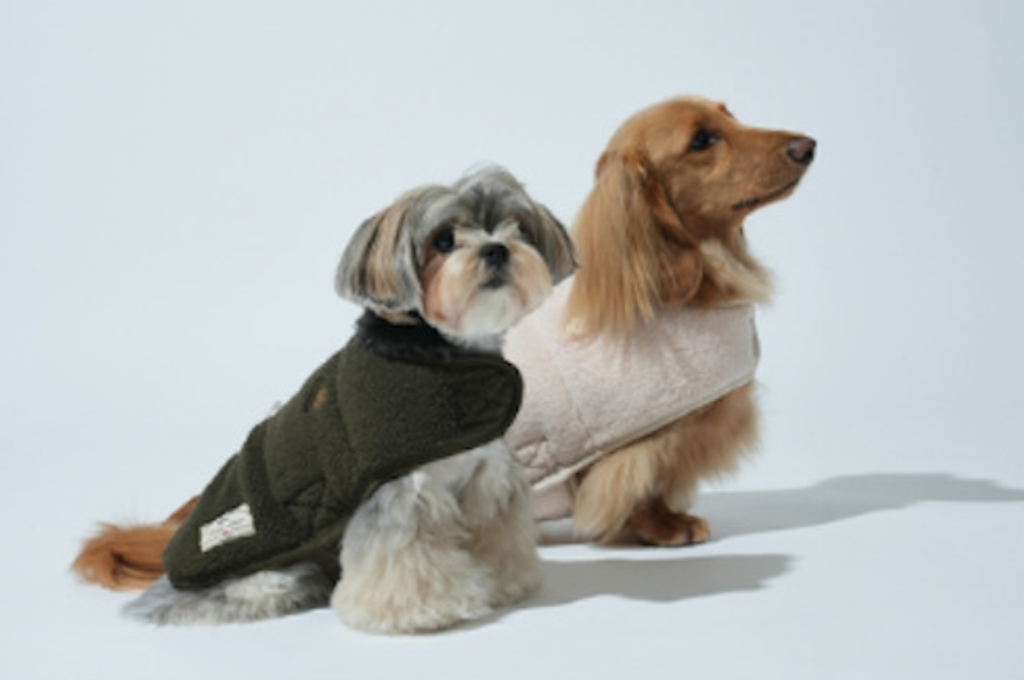 螢幕擷取畫面 2025-11-04 154015