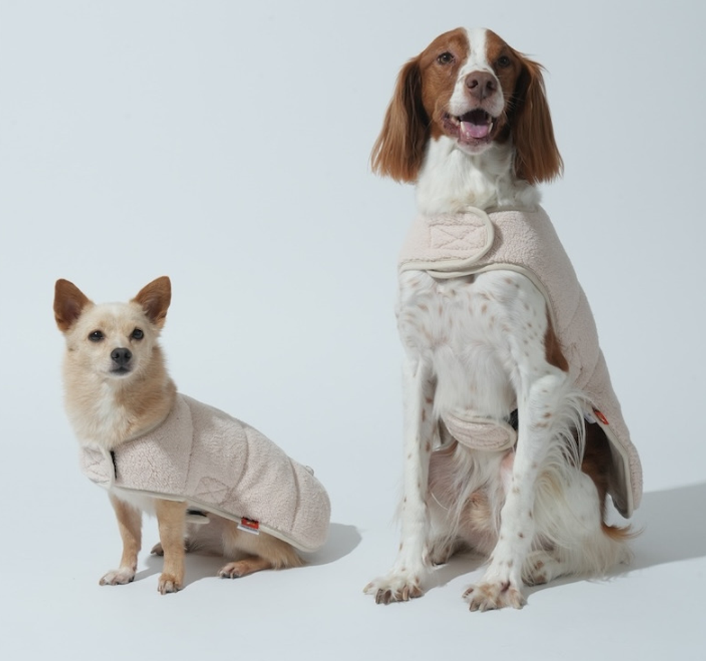 螢幕擷取畫面 2025-11-04 153942