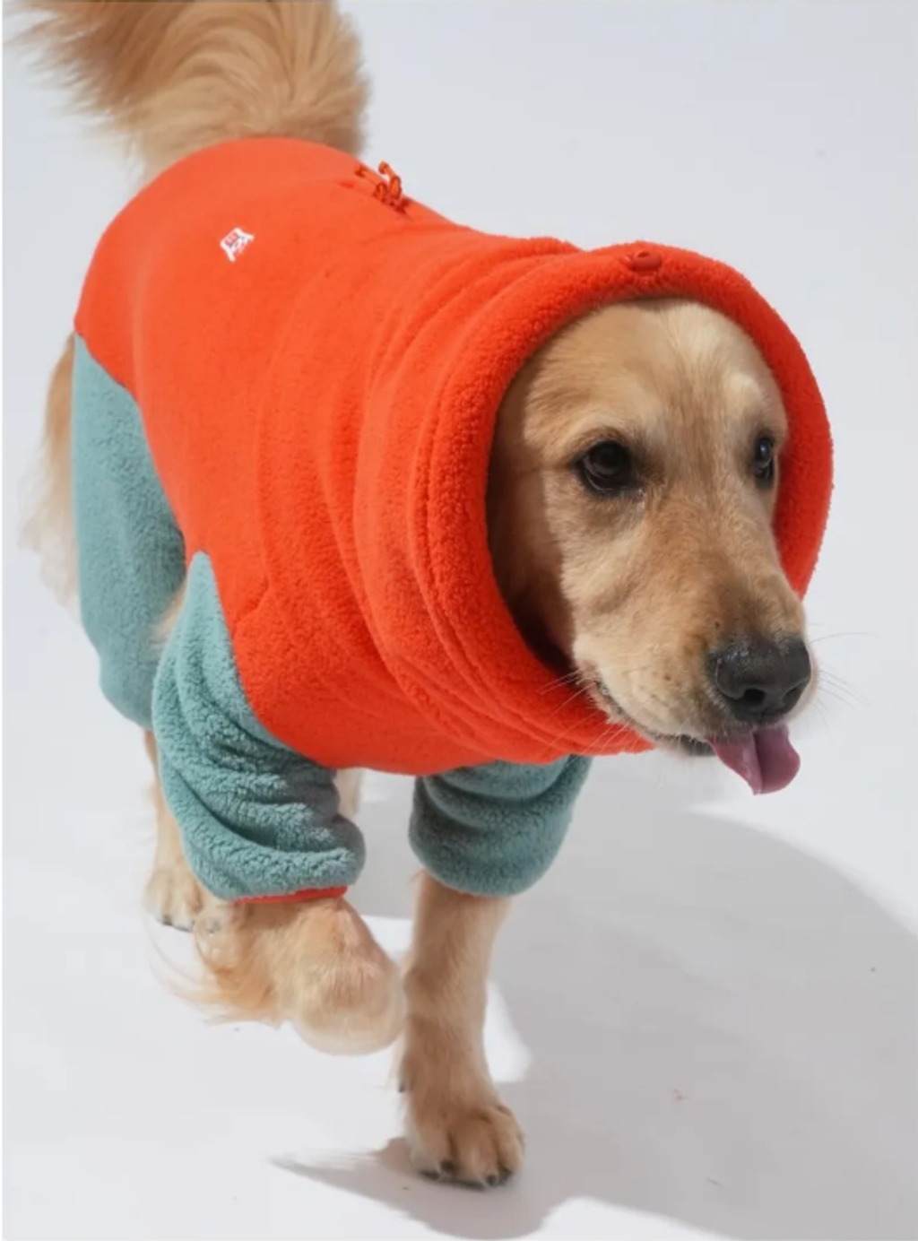 螢幕擷取畫面 2025-11-04 160533