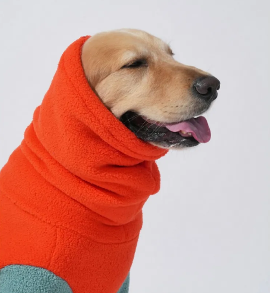 螢幕擷取畫面 2025-11-04 160449