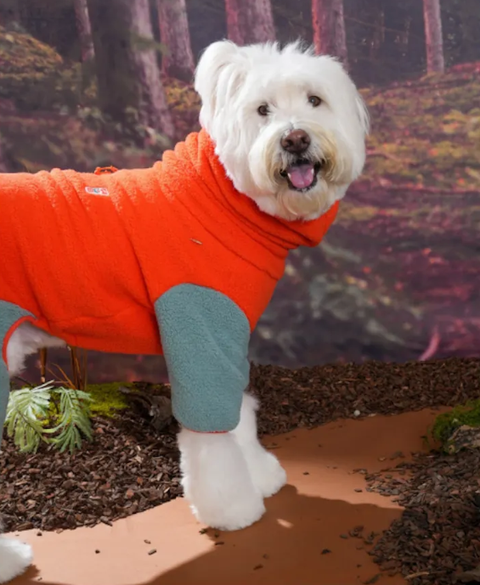 螢幕擷取畫面 2025-11-04 160337