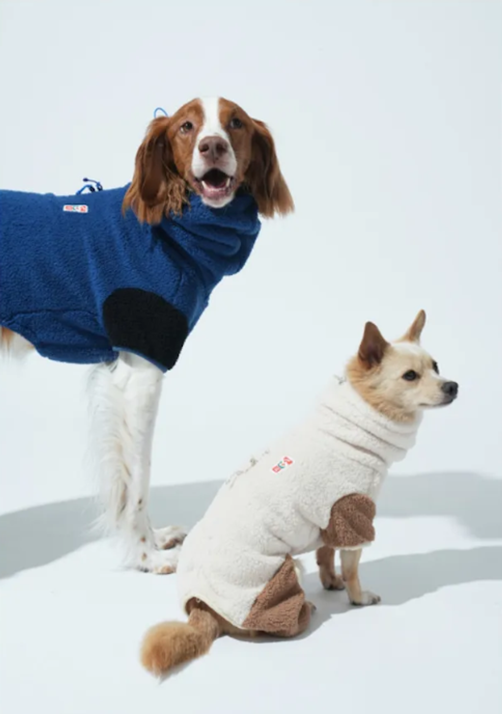 螢幕擷取畫面 2025-11-04 161425