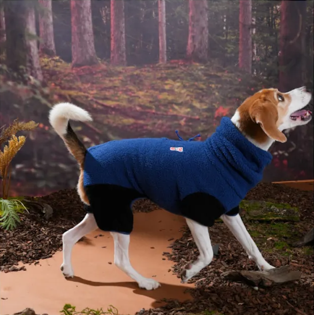 螢幕擷取畫面 2025-11-04 162437