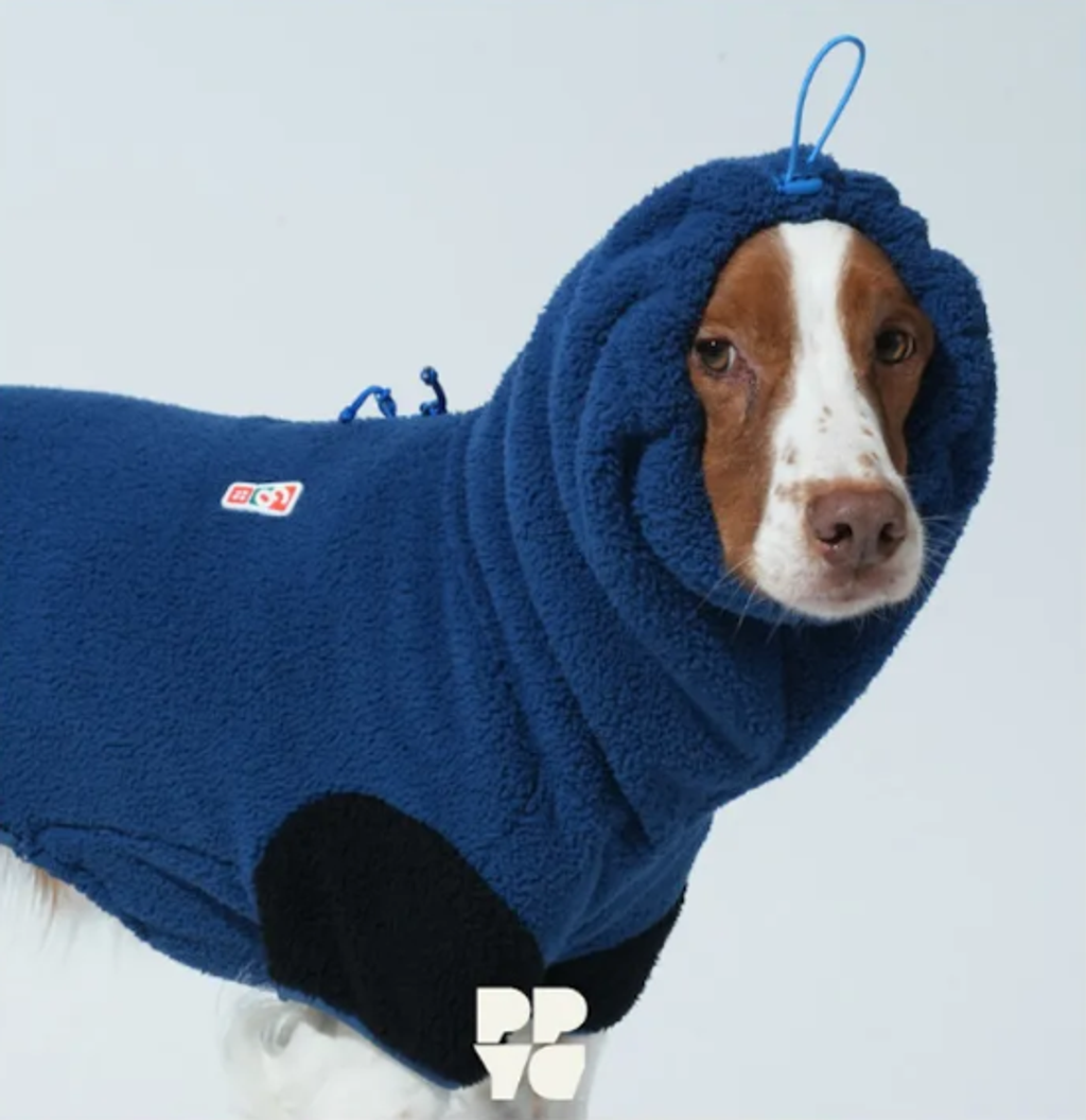 螢幕擷取畫面 2025-11-04 162324