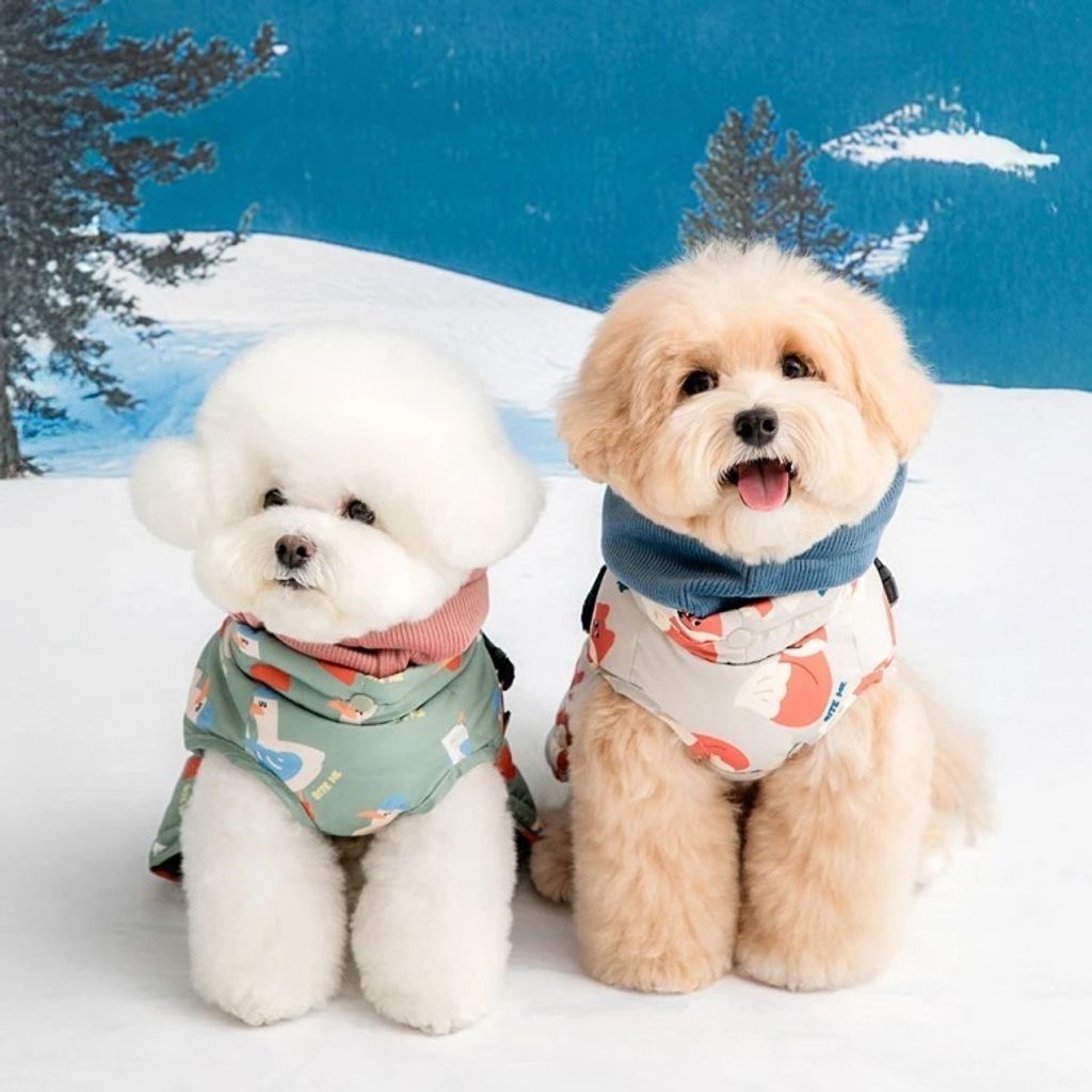 imgi_2_4551_690d6242bc777.jpg (1)