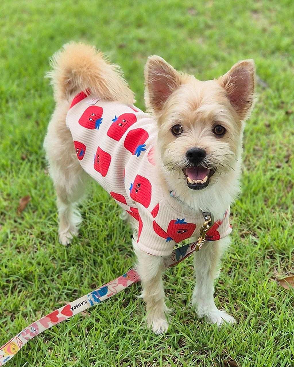 imgi_2_a906088167b0044249124bdadc6962e6