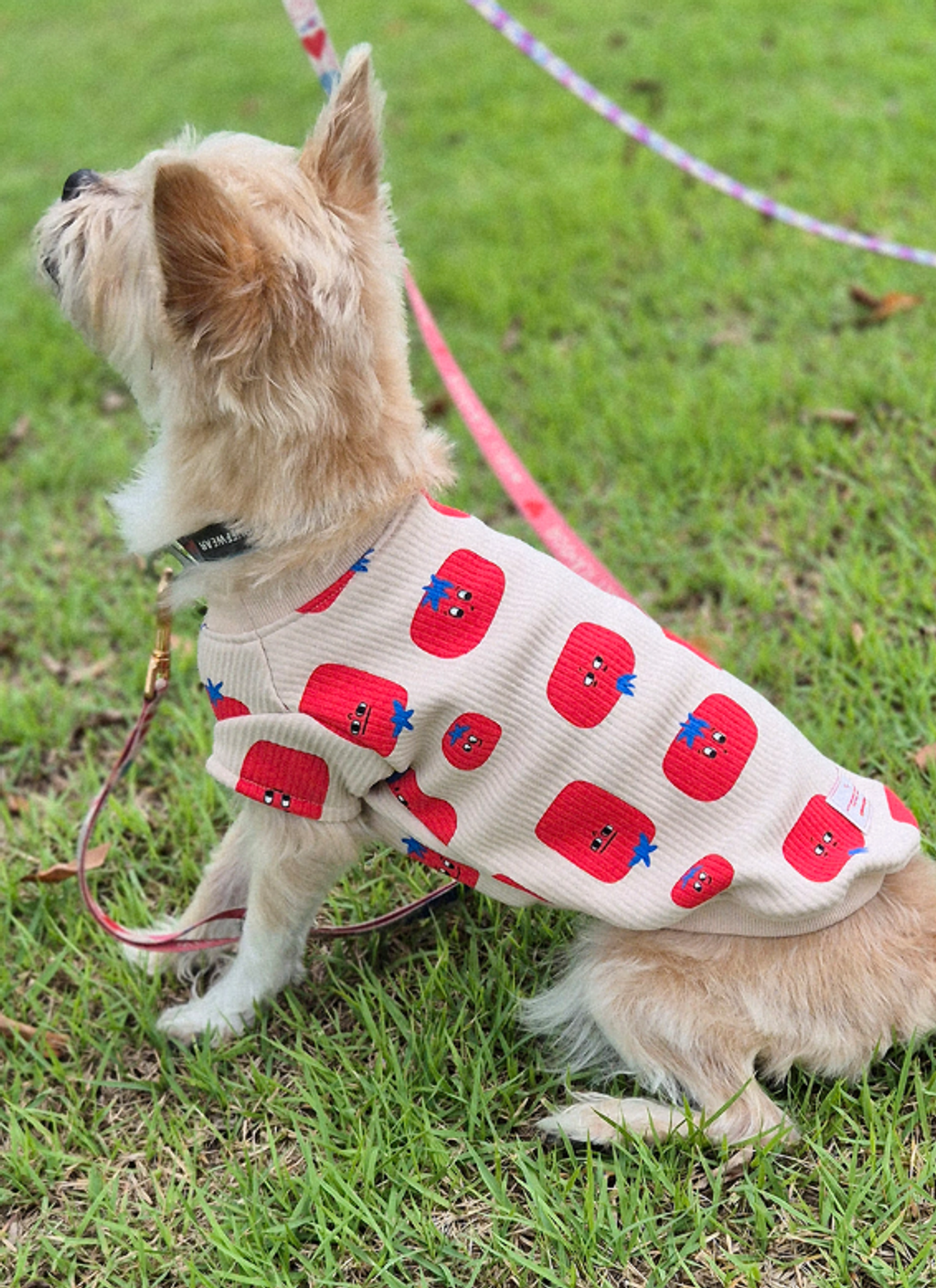 螢幕擷取畫面 2025-11-17 140637