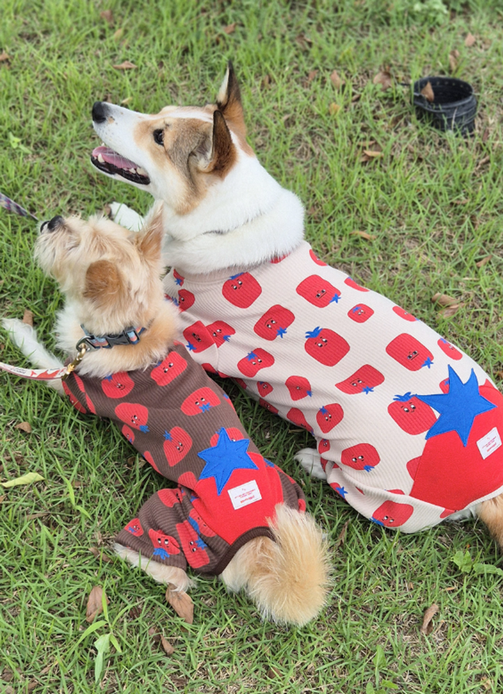 螢幕擷取畫面 2025-11-17 135732