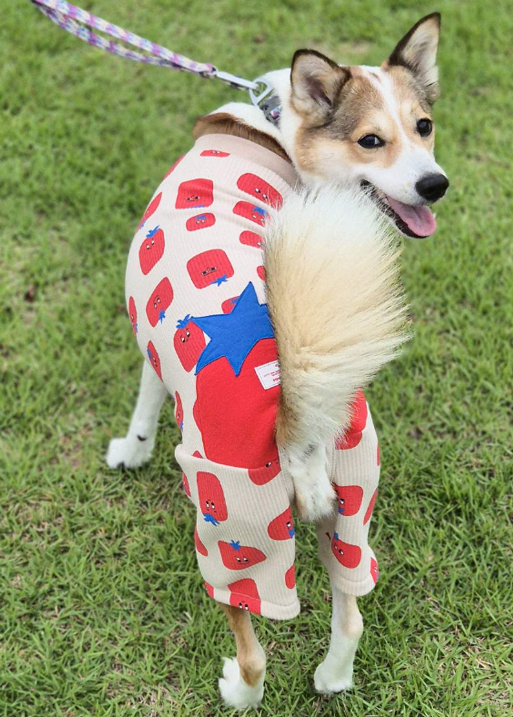 螢幕擷取畫面 2025-11-17 150243