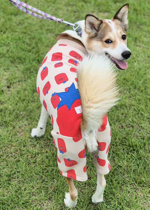 螢幕擷取畫面 2025-11-17 150243